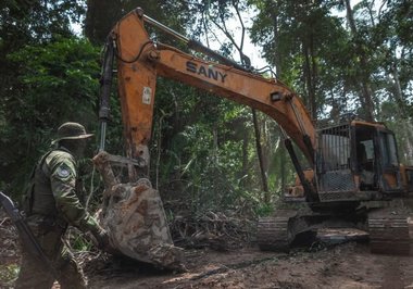 Suspensa lei de Roraima que proíbe destruição de bens apreendidos em operações ambientais